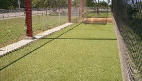 Turf
