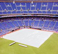 Infield Tarp