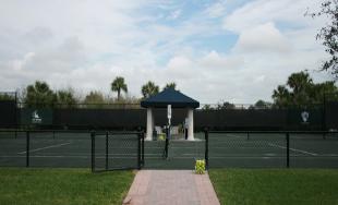 Tennis Windscreen