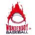 Wonderboy Baseball Logo