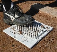 Bases Cleat Cleaner