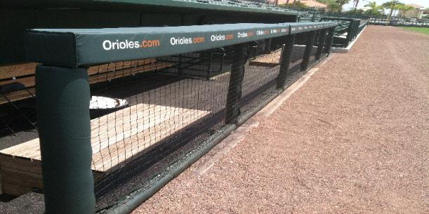 Dugout Netting